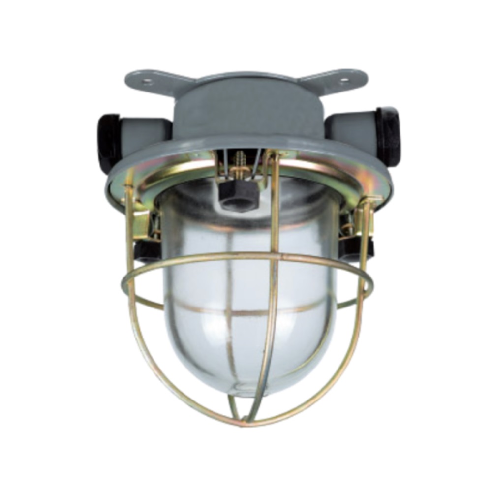 Incandescent Pendant Light 220V-CCD1-2