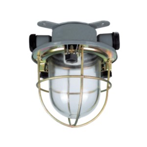 Incandescent Pendant Light 220V-CCD1-2