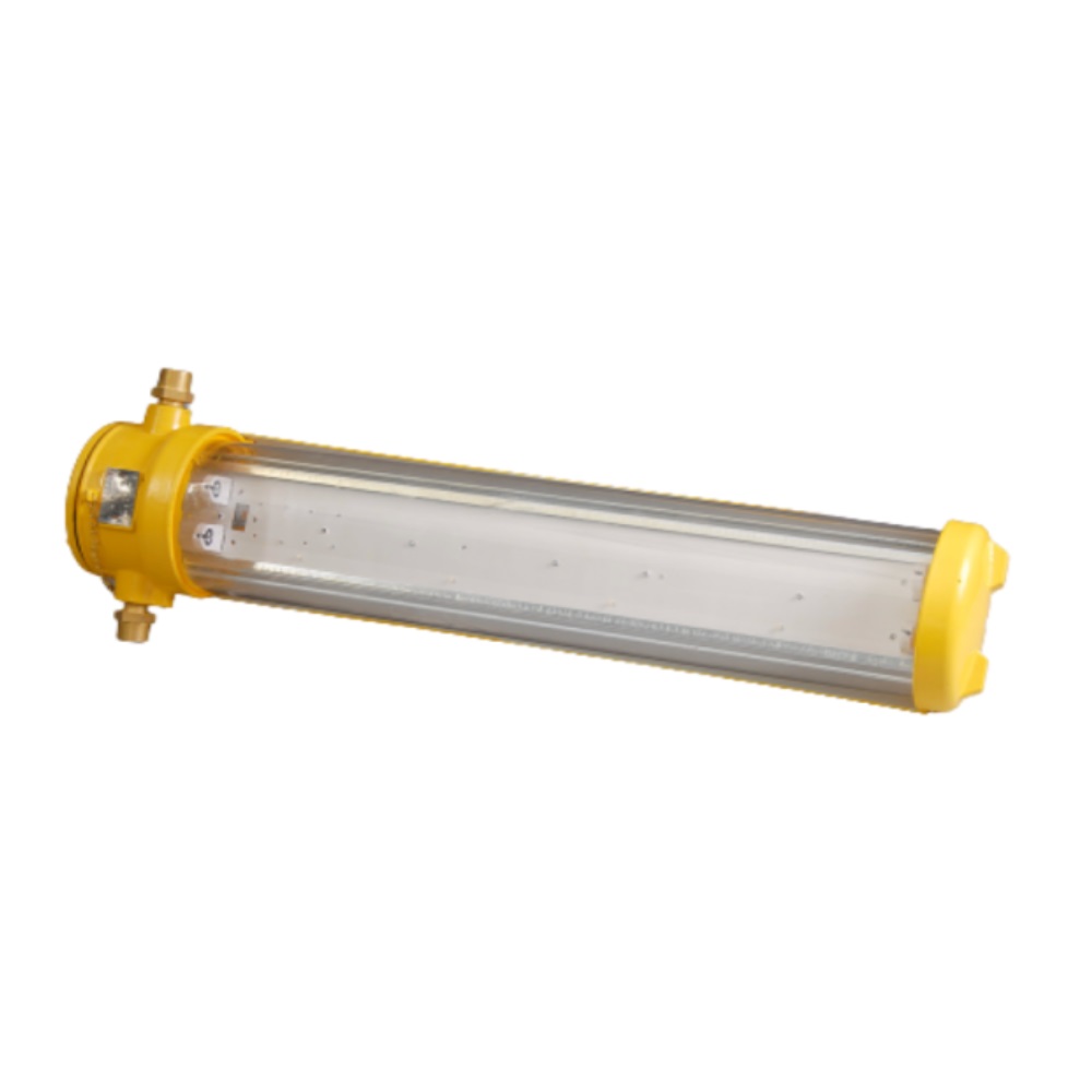 Explosion Proof Light (220V, 60Hz)-CFY20-2
