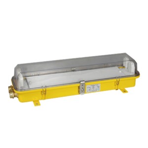 Explosion Proof Light 220V 60Hz-CFYD20-2