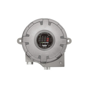 Gastron Oxygen & Toxic Gas Detector-GTD-5000F