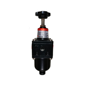 Powergenex Air Filter Regulator-FR10-N2