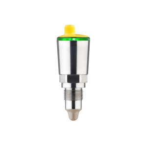 Vega Compact capacitive limit switch- VEGAPOINT 21
