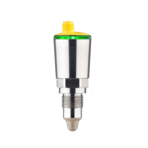 Vega Compact capacitive limit switch- VEGAPOINT 31